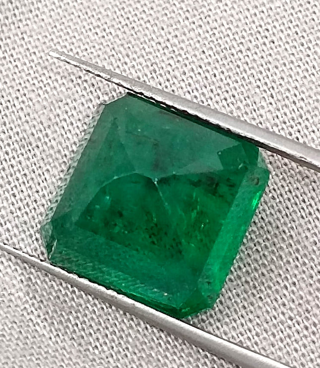 Zambian Emerald 9.93 ct Natural Deep Vivid Green Octagon Cut Loose Gemstone, Certified Investment Grade