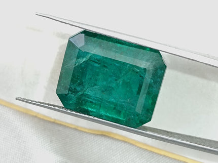 16.71ct Natural Emerald Deep Forest Green AGRL Certified Octagon Cut Loose Gemstone