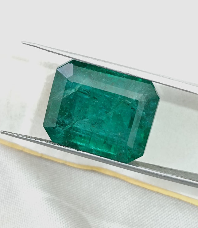 16.71ct Natural Emerald Deep Forest Green AGRL Certified Octagon Cut Loose Gemstone