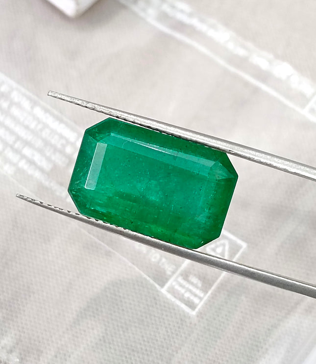 Zambian Emerald 10.36ct Natural Deep Velvet Green Octagon Cut Gemstone