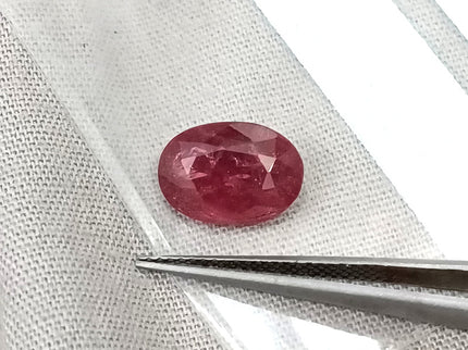 2.87ct Mozambique Ruby Unheated Natural Rasberry Ruby SGL Certified Oval Cut Loose Gemstone