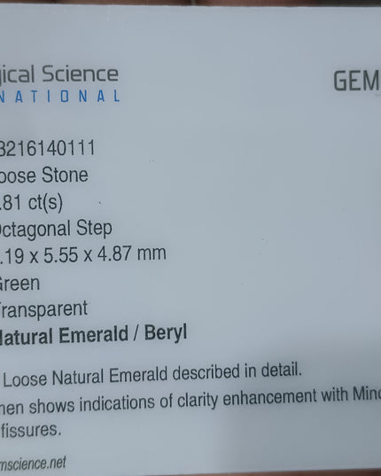1.81ct GSI Certified Medium Deep Golden Green Zambian Emerald Minor Oiled Loose Gemstone