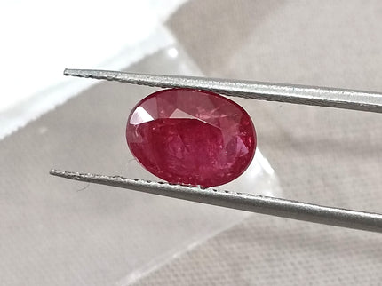 1.74ct Unheated Mozambique Ruby SGL Certified Wine Red Oval Cut Loose Gemstone