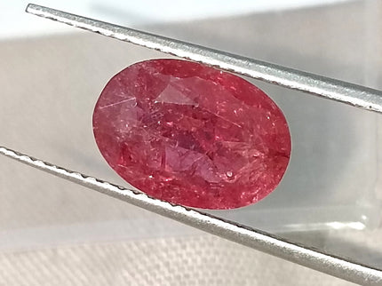 2.87ct Mozambique Ruby Unheated Natural Rasberry Ruby SGL Certified Oval Cut Loose Gemstone