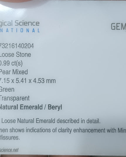 GSI Certified 0.99ct Medium Deep Green Natural Loose Emerald Minor Oiled Loose Gemstone