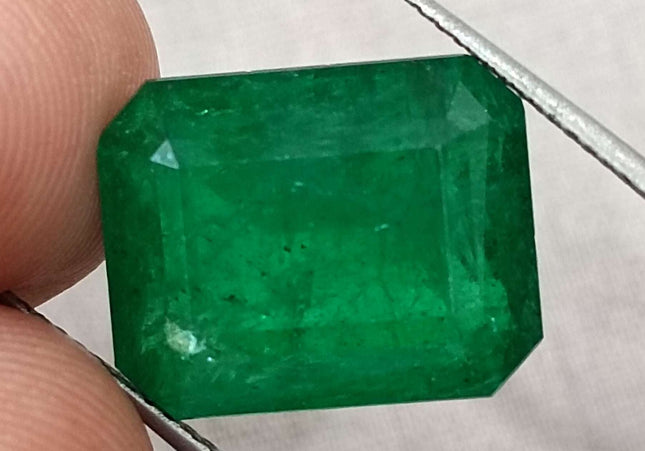 11.92ct Natural Deep Vivid Green Minor Oiled Swat Emerald.