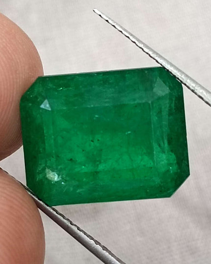 11.92ct Vivid Deep Green Swat Emerald Minor Oiled Loose Gemstone