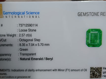 2.57ct Zambian Emerald, Pastel Green Octagon Cut Certified Natural Gemstone