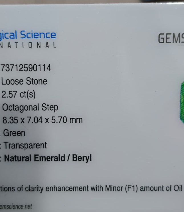 2.57ct Zambian Emerald, Pastel Green Octagon Cut Certified Natural Gemstone