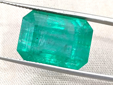Natural Emerald 13.86ct Zambia Deep Green Octagon Cut Gemstone