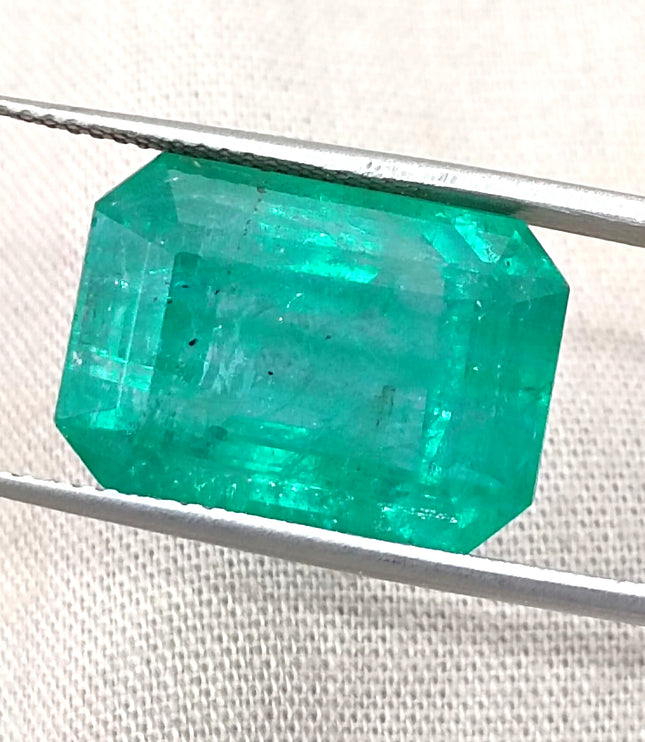 Natural Emerald 13.86ct Zambia Deep Green Octagon Cut Gemstone