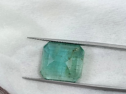 10.10ct Natural Emerald AGRL Certified Pastel Green Octagon Cut Loose Gemstone