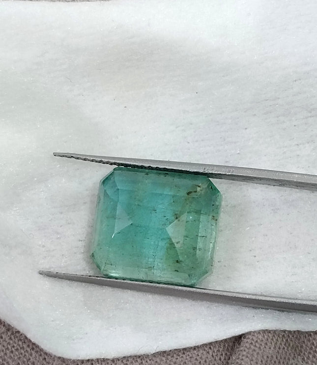 10.10ct Natural Emerald AGRL Certified Pastel Green Octagon Cut Loose Gemstone
