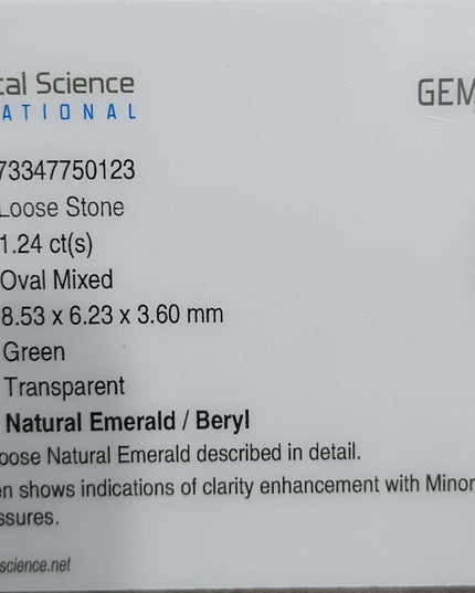 GSI Certified 1.24ct Vivid Green Oval Cut Zambian Emerald Minor Oiled Loose Gemstone