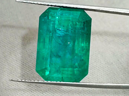 Natural Emerald 13.86ct Zambia Deep Green Octagon Cut Gemstone