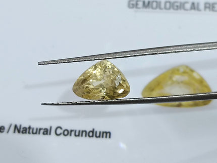 Untreated Yellow Sapphire 2.63ct Natural Certified Triangular Cut