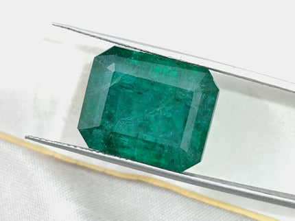 16.71ct Natural Emerald Deep Forest Green AGRL Certified Octagon Cut Loose Gemstone