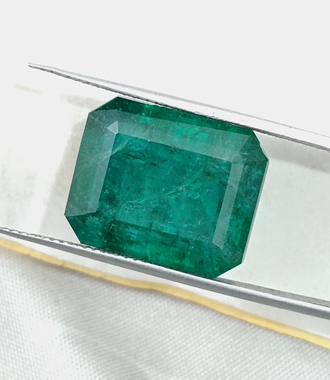 16.71ct Natural Emerald Deep Forest Green AGRL Certified Octagon Cut Loose Gemstone