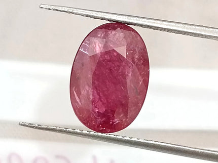 3.25ct Unheated Natural Ruby Crimsom Red SGL Certified Oval Cut Loose Stone