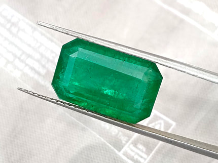 Zambian Emerald 10.36ct Natural Deep Velvet Green Octagon Cut Gemstone