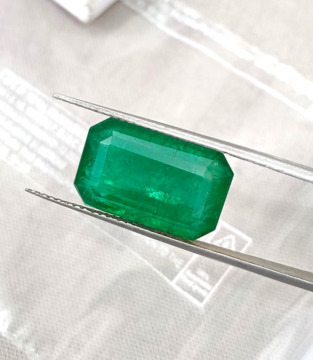 Zambian Emerald 10.36ct Natural Deep Velvet Green Octagon Cut Gemstone