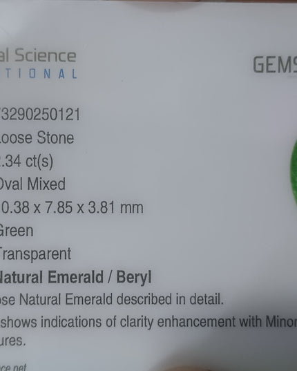 GSI USA Certified Medium Vivid Green Natural Zambian Emerald Minor Oiled Loose Gemstone