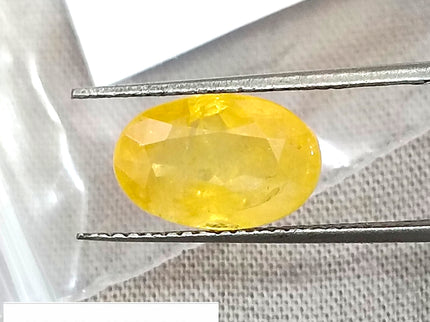 Lemon Yellow Sapphire 3.84ct Certified Natural Unheated Oval Cut Loose Gemstone