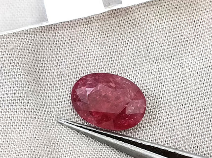3.29ct Untreated Natural Mozambique Ruby Rasberry Red SGL Certified Oval Loose Gemstone