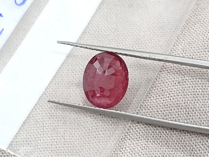 2.39ct Untreated Natural Ruby SGL Certified Mozambique Deep Cherry Red Oval Cut Gemstone