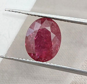 2.39ct Untreated Natural Ruby SGL Certified Mozambique Deep Cherry Red Oval Cut Gemstone