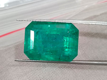 Natural Emerald 13.86ct Zambia Deep Green Octagon Cut Gemstone