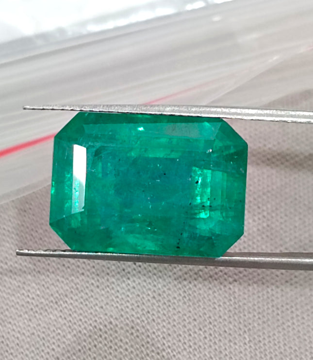 Natural Emerald 13.86ct Zambia Deep Green Octagon Cut Gemstone