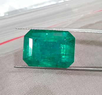 Natural Emerald 13.86ct Zambia Deep Green Octagon Cut Gemstone