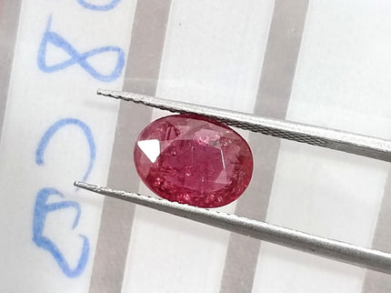 1.68ct Untreated Natural Mozambique Ruby Cherry Red SGL Certified Oval Loose Gemstone