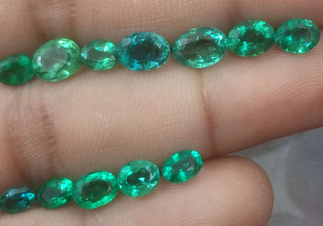 8.40ct Medium Light to Vivid Green Zambian Emerald Parcel Minor Oiled Loose Gemstones