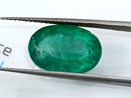 Natural Emerald 5.67ct Deep Green Zambian Origin Oval Cut Minor Oiled Loose Gemstone