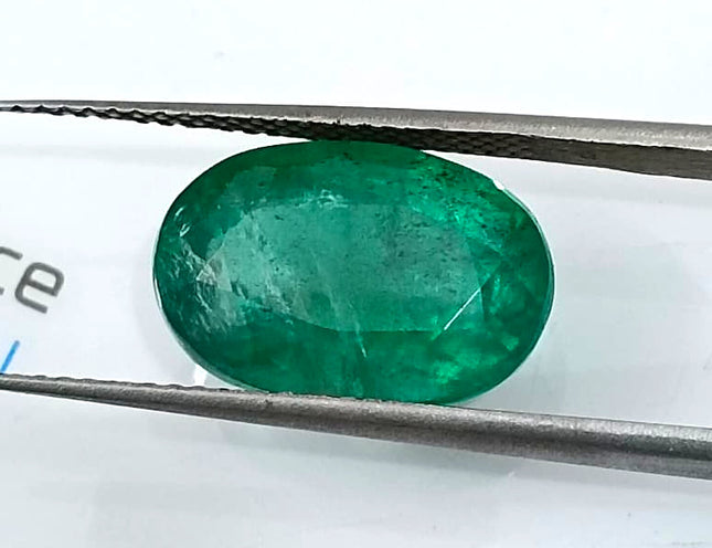 Natural Emerald 5.67ct Deep Green Zambian Origin Oval Cut Minor Oiled Loose Gemstone