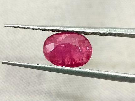 Mozambique Ruby 1.53ct Certified Natural Red Oval Cut Unheated Loose Stone