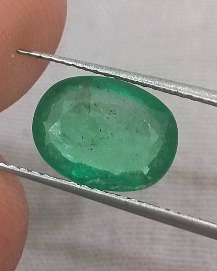 GSI USA Certified Medium Vivid Green Natural Zambian Emerald Minor Oiled Loose Gemstone