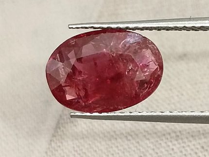 2.84ct Mozambique Ruby Untreated Natural SGL Certified Rasberry Red Stone
