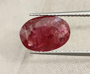 2.84ct Mozambique Ruby Untreated Natural SGL Certified Rasberry Red Stone