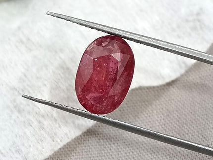 3.72ct Unheated Mozambique Ruby Natural SGL Certified Rasberry Red Oval Cut Loose Gemstone
