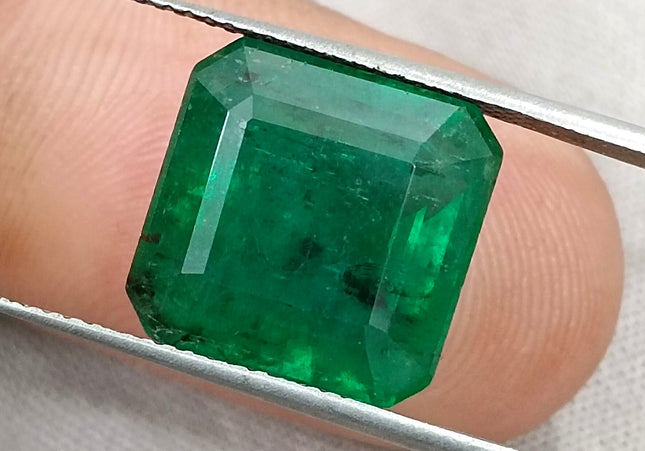 Big Size 9.93ct Zambian Emerald Vivid Deep Green  Certified by GSI Minor Oiled Loose Gemstone