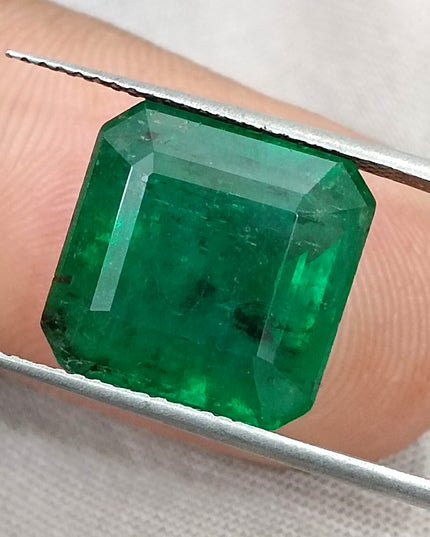 Big Size 9.93ct Zambian Emerald Vivid Deep Green  Certified by GSI Minor Oiled Loose Gemstone
