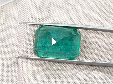 Natural Emerald 13.86ct Zambia Deep Green Octagon Cut Gemstone