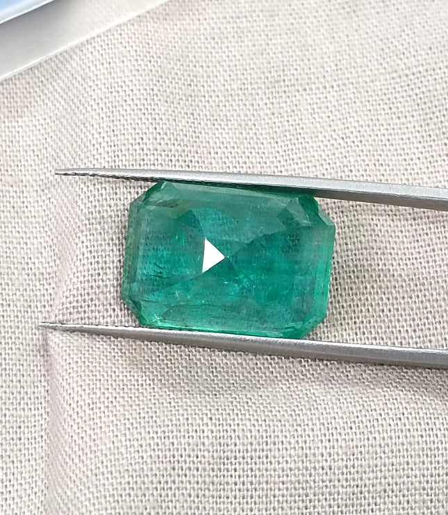 Natural Emerald 13.86ct Zambia Deep Green Octagon Cut Gemstone