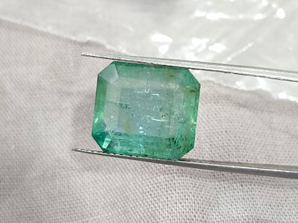 10.10ct Natural Emerald AGRL Certified Pastel Green Octagon Cut Loose Gemstone