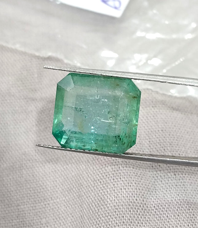10.10ct Natural Emerald AGRL Certified Pastel Green Octagon Cut Loose Gemstone