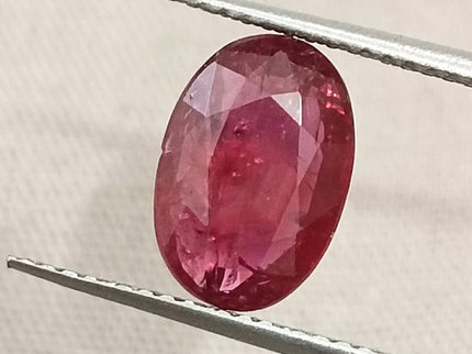 2.84ct Mozambique Ruby Untreated Natural SGL Certified Rasberry Red Stone