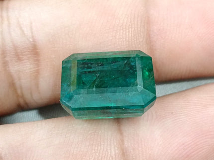 16.71ct Natural Emerald Deep Forest Green AGRL Certified Octagon Cut Loose Gemstone